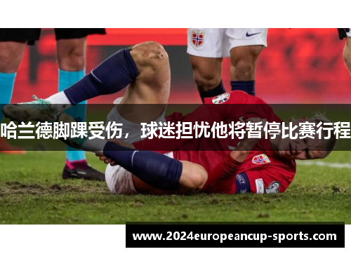 哈兰德脚踝受伤，球迷担忧他将暂停比赛行程